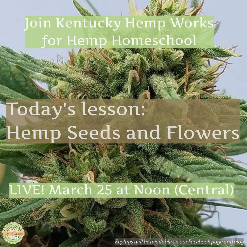 Hemp Homeschool - Hemp Seeds and Flowers