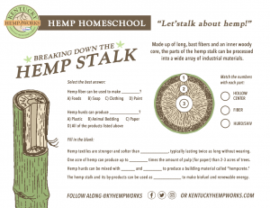 Hemp Stalk Homework