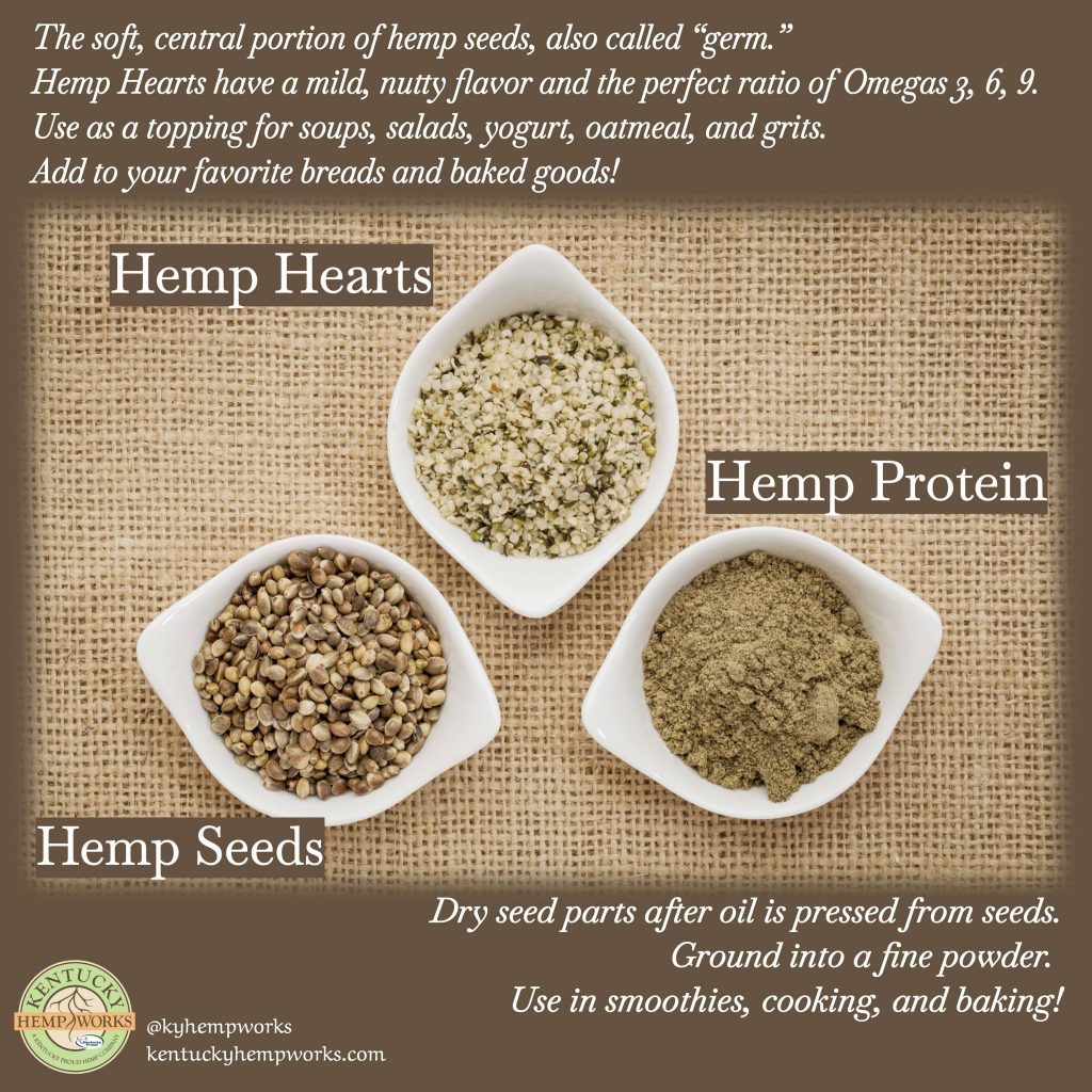 Hemp seed, hemp protein, hemp hearts graphic